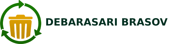 debarasari-brasov.ro